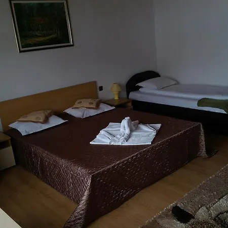 Pensión Pensiunea Casa Beatrice Bran Bran (Brasov)