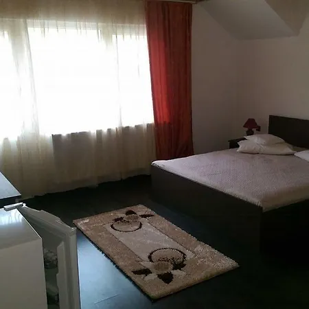 Pensiunea Casa Beatrice Bran Pensión Bran (Brasov)